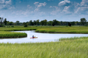 donate to support Kayaking the Port Royal Sound