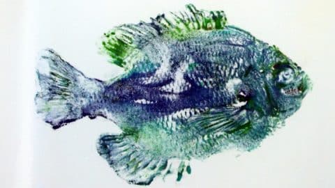 Fish Printing