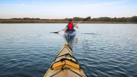 port royal sound foundation programs kayak