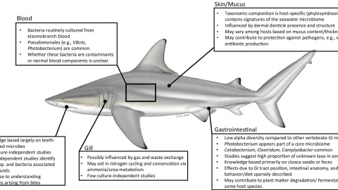 42523_2021_121_Fig4_HTML Fig HTML