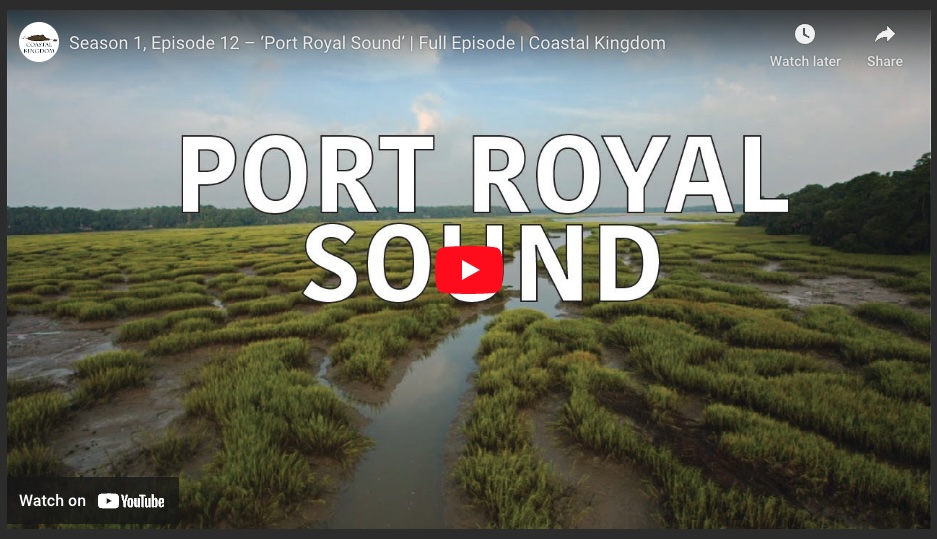 Coastal Kingdom: Port Royal Sound