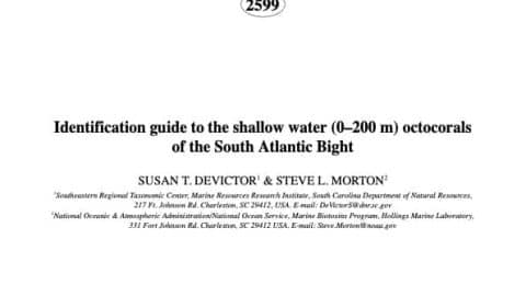 cover ID guide to shallow water octocorals