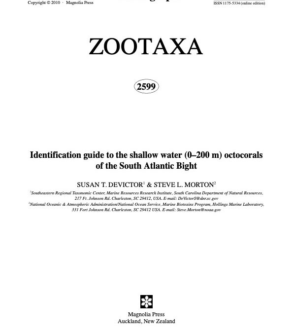 Identification guide to the shallow water (0–200 m) octocorals of the South Atlantic Bight