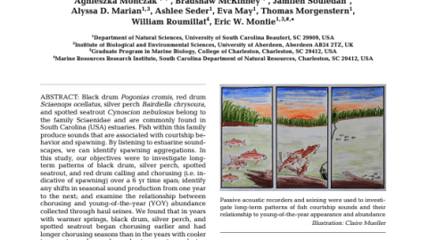 cover SciaenideaSounds