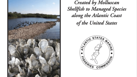 cover shellfish habitat