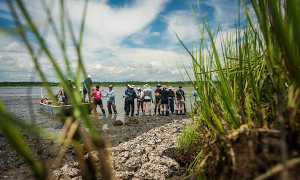 OysterBeds