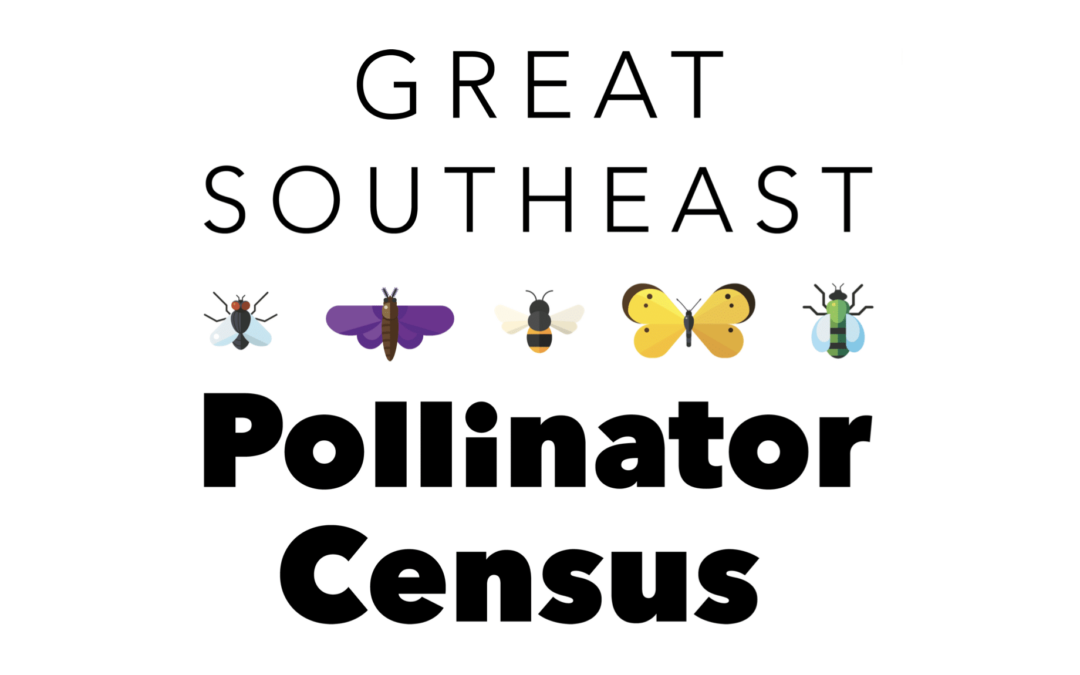 Great Southeast Pollinator Census – Port Royal Sound