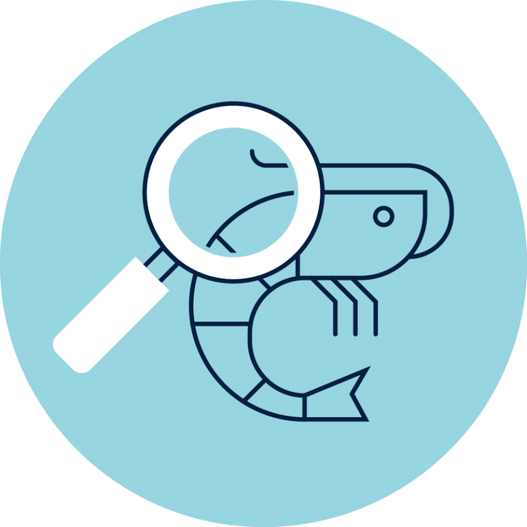 Investigation blue Investigation blue