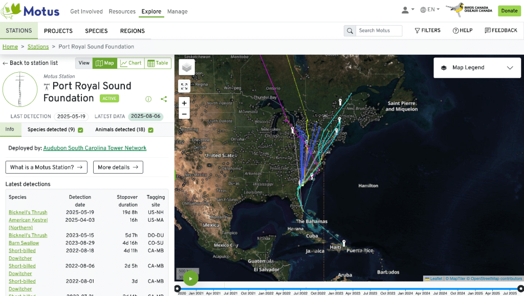 Motus dash Motus dash