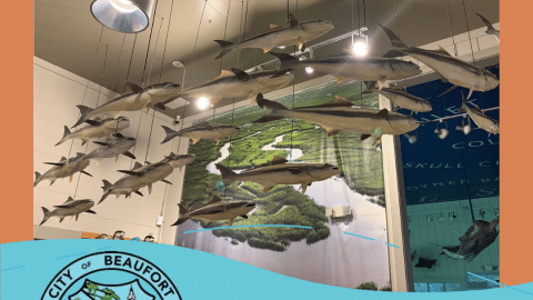 CCF Beaufort Fund Thank You