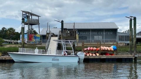 Beaufort Dolphin Adventures