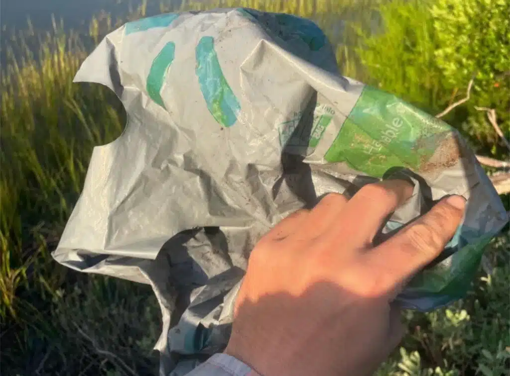 CCL Walmart Bag