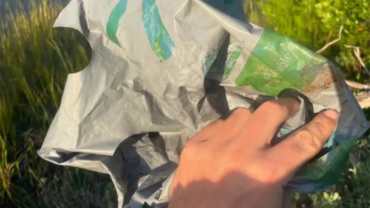 CCL Walmart Bag