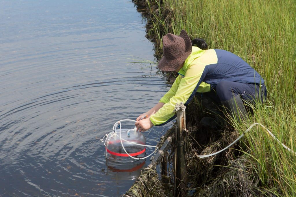 water quality x