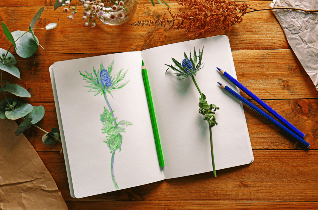 Nature Journaling
