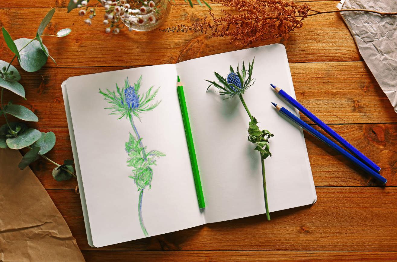 Nature Journaling